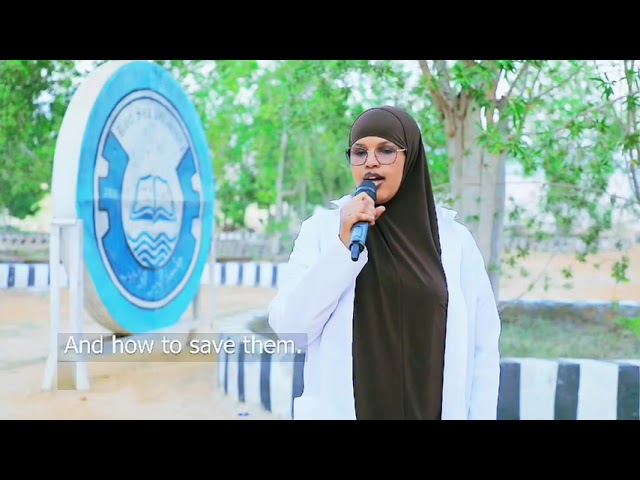 Najma Ali Ahmed – Feedback on the 3-Day ENC Training